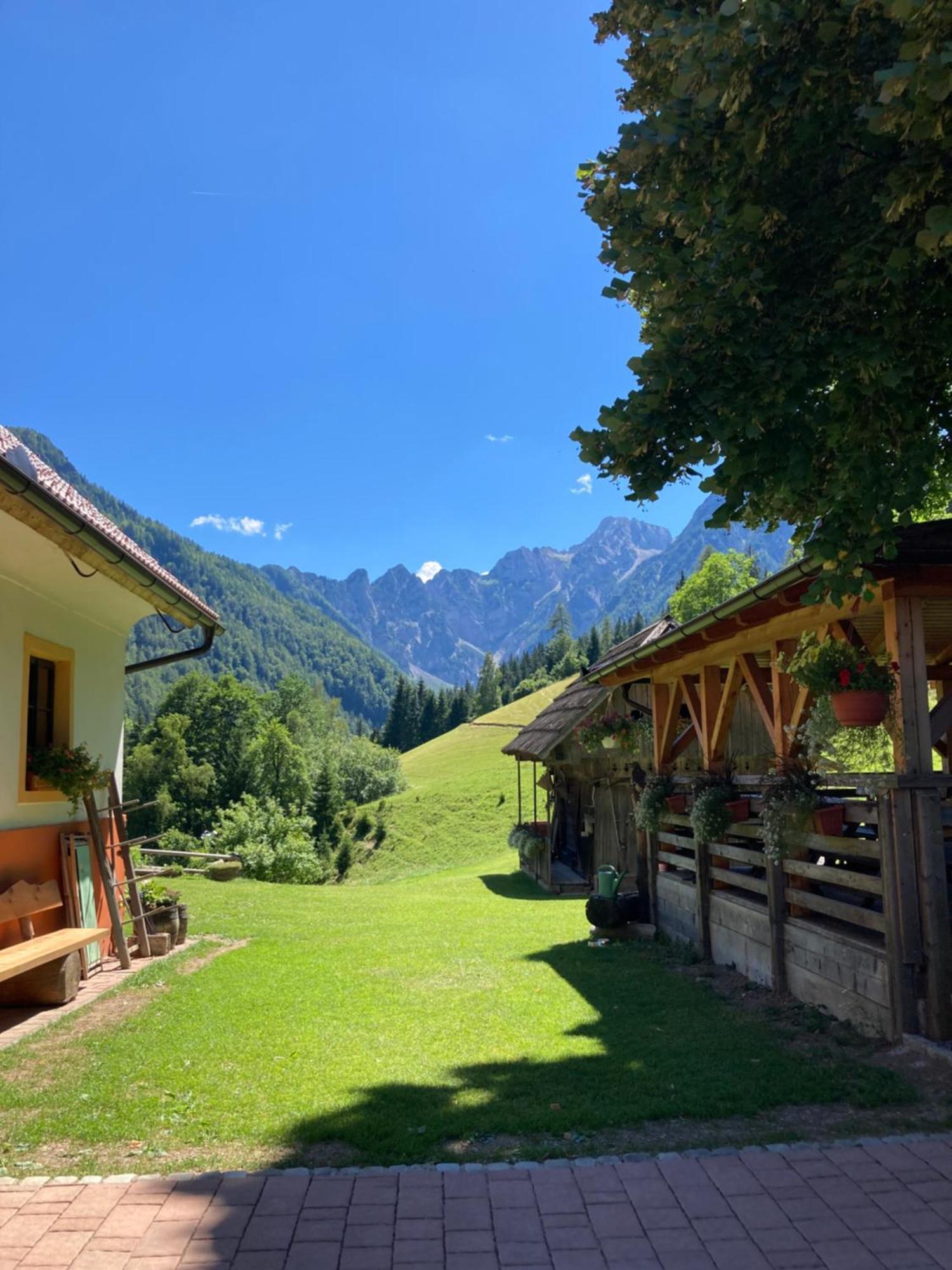 Apartamento Tourist Farm Gradisnik Solčava Exterior foto
