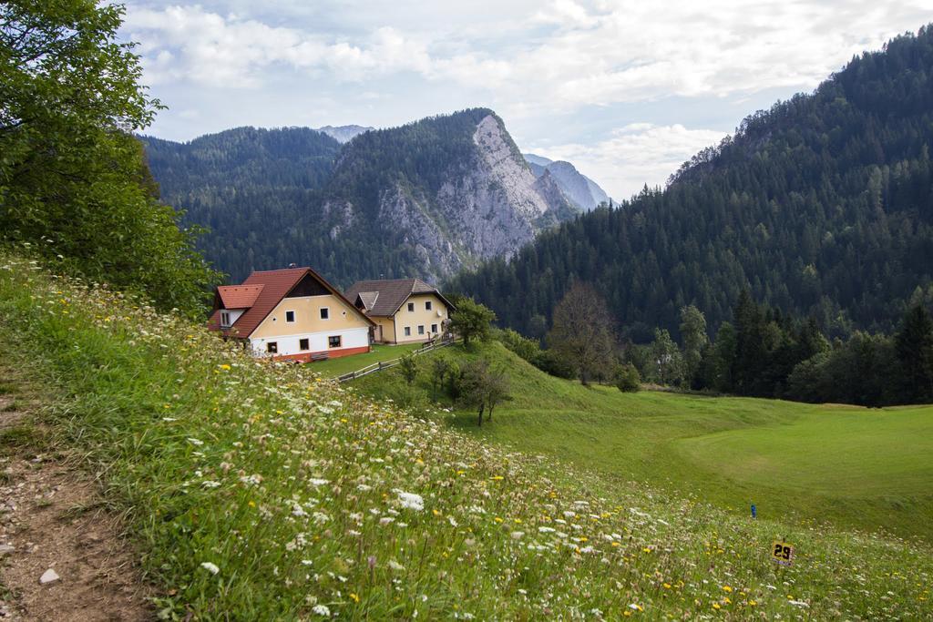 Apartamento Tourist Farm Gradisnik Solčava Exterior foto