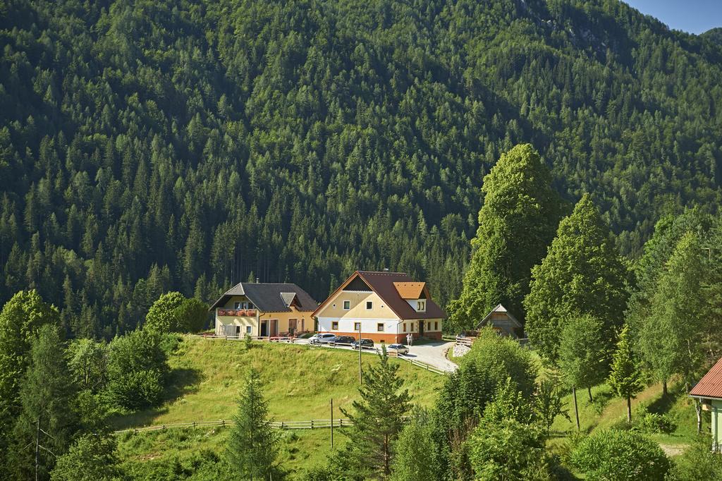Apartamento Tourist Farm Gradisnik Solčava Exterior foto