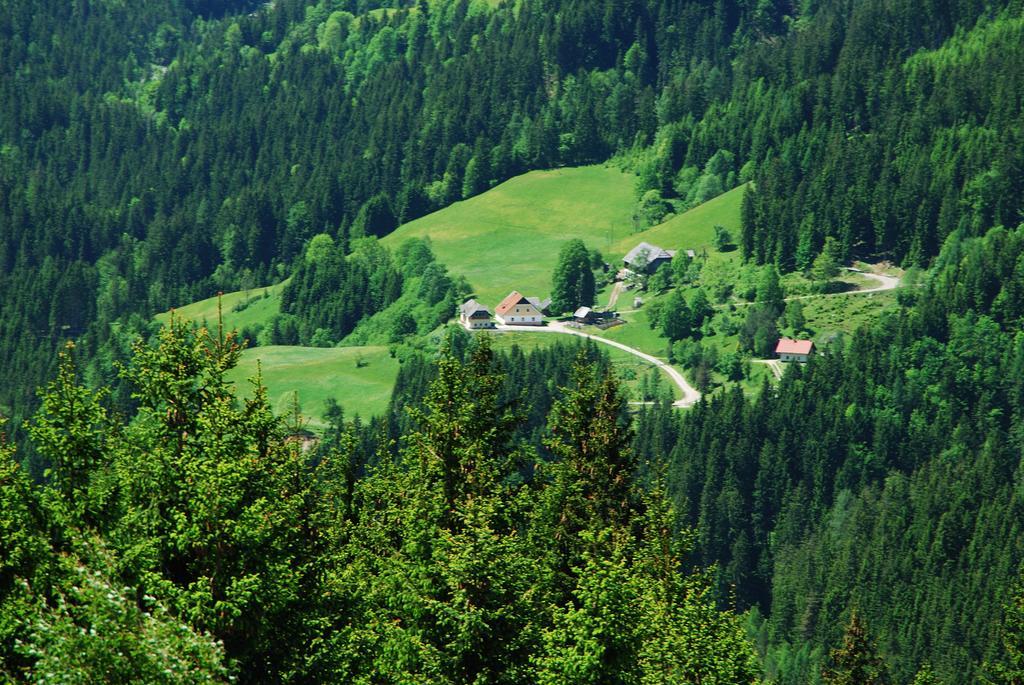 Apartamento Tourist Farm Gradisnik Solčava Exterior foto